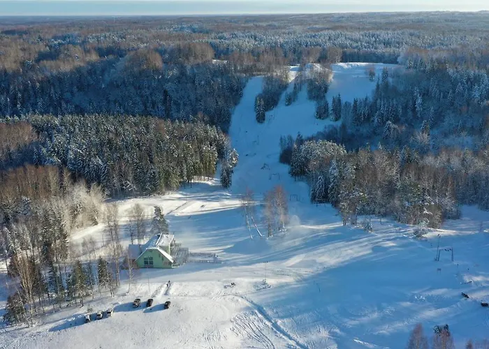 Kuetioru Puhkekeskus 3* Koloreino