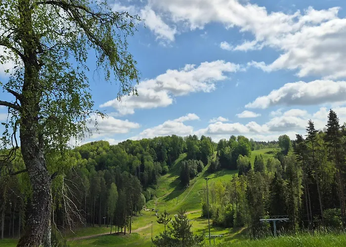 Kuetioru Puhkekeskus Hotel Koloreino
