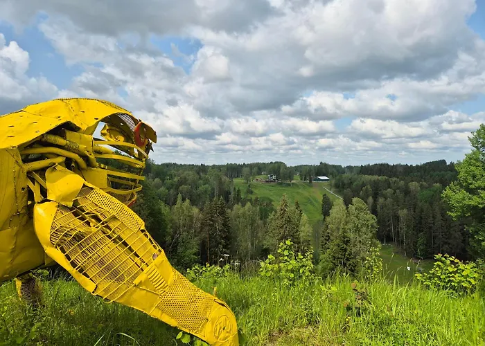 Hotel Kuetioru Puhkekeskus